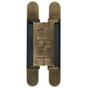 A pair of brass and black hinges on a white background.